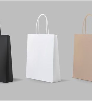 paper bag